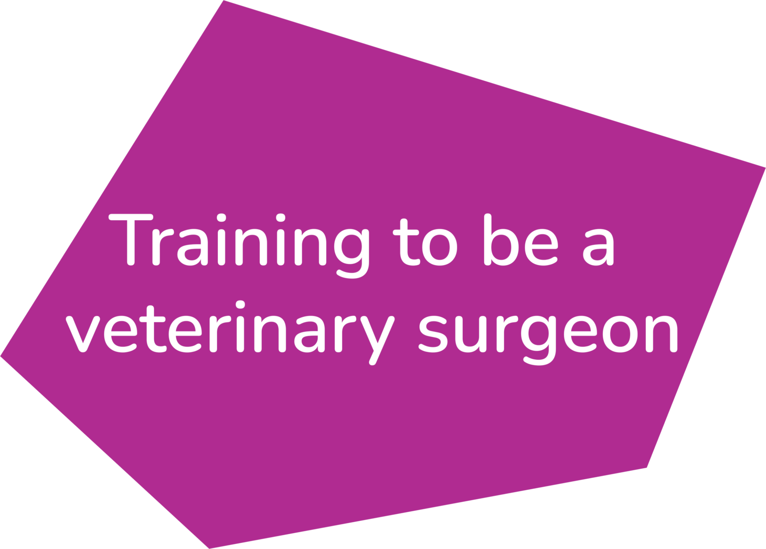 training-to-be-a-veterinary-surgeon-pennard-vets